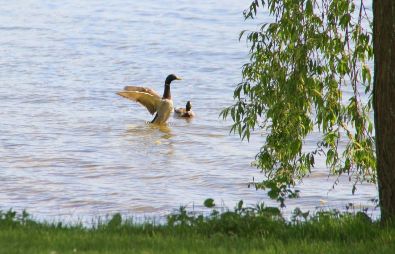 Junior-Suite Relaxe Am See Ascheberg  エクステリア 写真